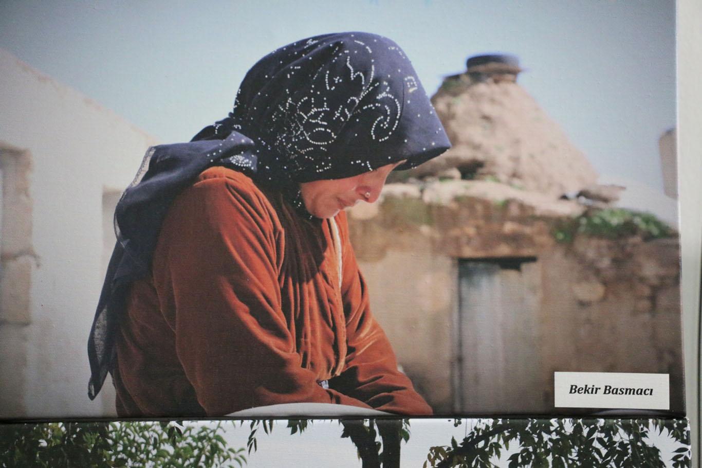 Gazetecilerin çektiği fotoğraflar sergilendi Gazetecilerin çektiği fotoğraflar sergilendi